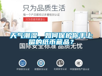 常見(jiàn)問(wèn)題天氣潮濕，如何保護(hù)你手上留的紙幣藏品？