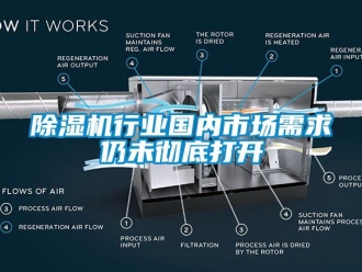 企業(yè)新聞除濕機(jī)行業(yè)國內(nèi)市場需求仍未徹底打開