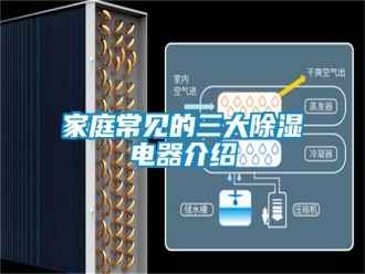 行業(yè)新聞家庭常見(jiàn)的三大除濕電器介紹