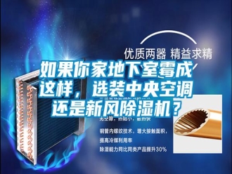 行業(yè)新聞如果你家地下室霉成這樣，選裝中央空調(diào)還是新風(fēng)除濕機(jī)？