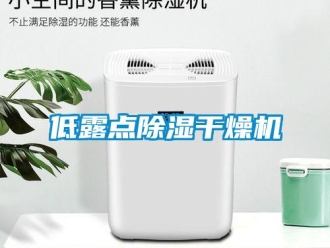 行業(yè)新聞低露點除濕干燥機(jī)