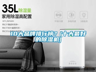 企業(yè)新聞10大品牌排行榜？(十大最好的除濕機)