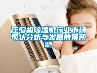 行業(yè)新聞壓縮機除濕機行業(yè)市場現(xiàn)狀分析與發(fā)展前景預(yù)測