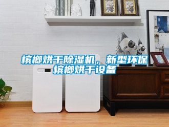 常見問題檳榔烘干除濕機(jī)，新型環(huán)保檳榔烘干設(shè)備
