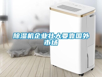 企業(yè)新聞除濕機企業(yè)壯大要靠國外市場