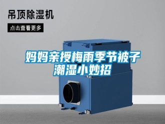 行業(yè)新聞媽媽親授梅雨季節(jié)被子潮濕小妙招