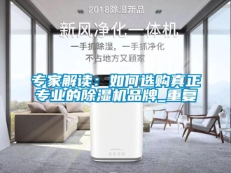 企業(yè)新聞專(zhuān)家解讀：如何選購(gòu)真正專(zhuān)業(yè)的除濕機(jī)品牌_重復(fù)