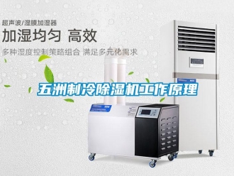 行業(yè)新聞五洲制冷除濕機(jī)工作原理