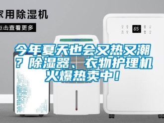 行業(yè)新聞今年夏天也會(huì)又熱又潮？除濕器、衣物護(hù)理機(jī)火爆熱賣(mài)中！