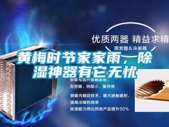 行業(yè)新聞黃梅時(shí)節(jié)家家雨，除濕神器有它無(wú)憂(yōu)