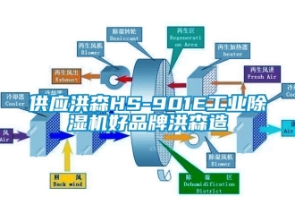 常見(jiàn)問(wèn)題供應(yīng)洪森HS-901E工業(yè)除濕機(jī)好品牌洪森造