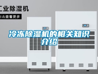 行業(yè)新聞冷凍除濕機(jī)的相關(guān)知識介紹