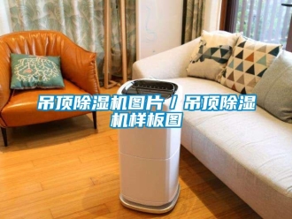 行業(yè)新聞吊頂除濕機(jī)圖片／吊頂除濕機(jī)樣板圖