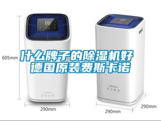 行業(yè)新聞什么牌子的除濕機好 德國原裝費斯卡諾