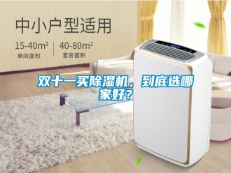 知識百科雙十一買除濕機，到底選哪家好？