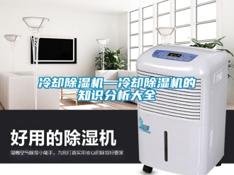行業(yè)新聞冷卻除濕機—冷卻除濕機的知識分析大全
