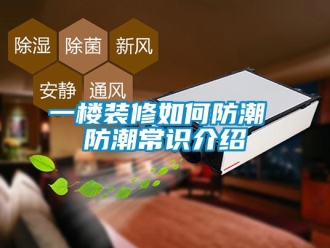 常見問題一樓裝修如何防潮 防潮常識介紹