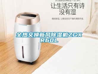 常見問題全熱交換新風(fēng)除濕機(jī)ZGXR60L