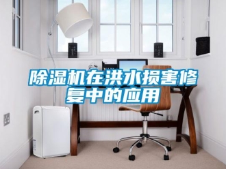 企業(yè)新聞除濕機在洪水損害修復(fù)中的應(yīng)用