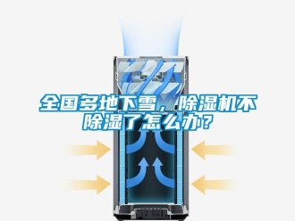 行業(yè)新聞全國(guó)多地下雪，除濕機(jī)不除濕了怎么辦？