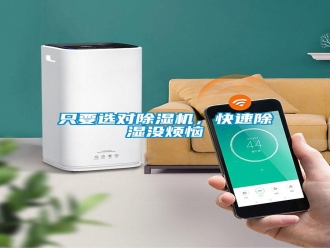 知識(shí)百科只要選對(duì)除濕機(jī)，快速除濕沒煩惱