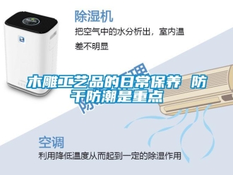 行業(yè)新聞木雕工藝品的日常保養(yǎng) 防干防潮是重點(diǎn)