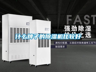 行業(yè)新聞什么牌子的除濕機(jī)比較好