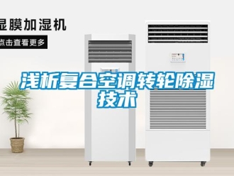 行業(yè)新聞淺析復合空調轉輪除濕技術