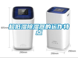 企業(yè)新聞超低濕除濕器的運作特點