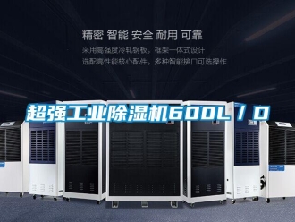 企業(yè)新聞超強工業(yè)除濕機600L／D