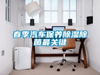 企業(yè)新聞春季汽車保養(yǎng)除濕除菌最關鍵