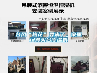 行業(yè)新聞臺(tái)風(fēng)“梅花”要來了，家里記得買臺(tái)除濕機(jī)