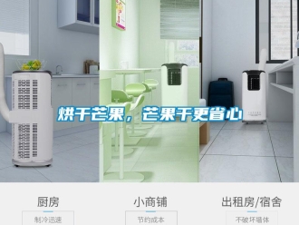 行業(yè)新聞烘干芒果，芒果干更省心