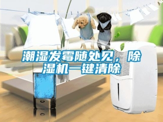 企業(yè)新聞潮濕發(fā)霉隨處見，除濕機(jī)一鍵清除