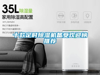 行業(yè)新聞十款定時除濕機備受歡迎榜推薦