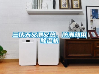 行業(yè)新聞三伏天又潮又熱，防潮就用除濕機(jī)