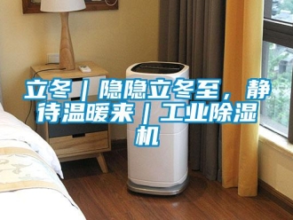 行業(yè)新聞立冬｜隱隱立冬至，靜待溫暖來｜工業(yè)除濕機