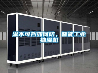 常見問題濕不可擋如何防，智能工業(yè)抽濕機