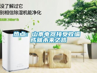 行業(yè)新聞熱點(diǎn)：山寨電器接受收編 成就未來之路