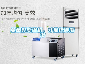 知識(shí)百科要備好除濕機(jī)，才能抵御潮濕