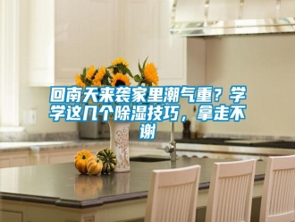 行業(yè)新聞回南天來襲家里潮氣重？學學這幾個除濕技巧，拿走不謝