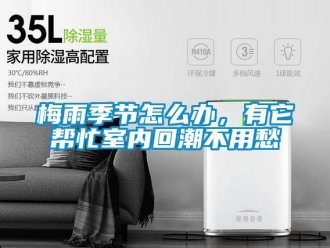 常見(jiàn)問(wèn)題梅雨季節(jié)怎么辦，有它幫忙室內(nèi)回潮不用愁