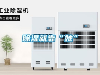 企業(yè)新聞除濕就靠“她”