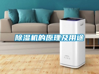 常見問題除濕機(jī)的原理及用途