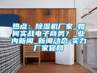 常見問題熱點：除濕機廠家_如何實戰(zhàn)電子商務(wù)？_業(yè)內(nèi)新聞_新聞動態(tài)-實力廠家官網(wǎng)