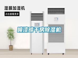 行業(yè)新聞噴漆晾干房除濕機(jī)