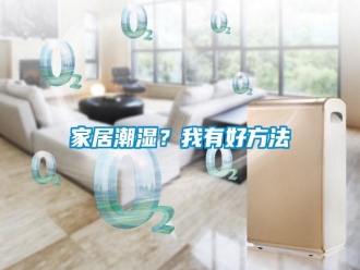 行業(yè)新聞家居潮濕？我有好方法