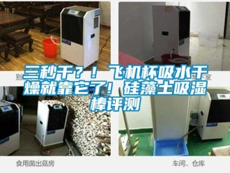 企業(yè)新聞三秒干？! 飛機(jī)杯吸水干燥就靠它了! 硅藻土吸濕棒評(píng)測(cè)