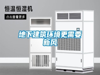 企業(yè)新聞地下建筑環(huán)境更需要新風