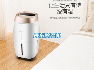 行業(yè)新聞丹東除濕機